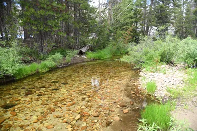 DSC_4382 (Large).JPG